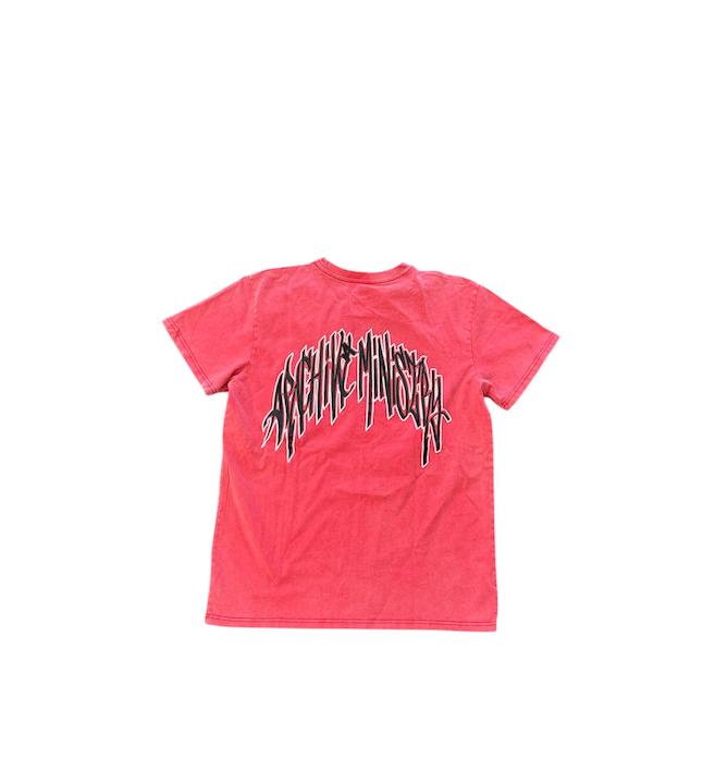 ARCHIVE MINISTRY AM Script Tee